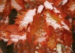 Zima jesieni - 28.10.2012