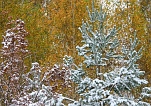 Zima jesieni - 28.10.2012